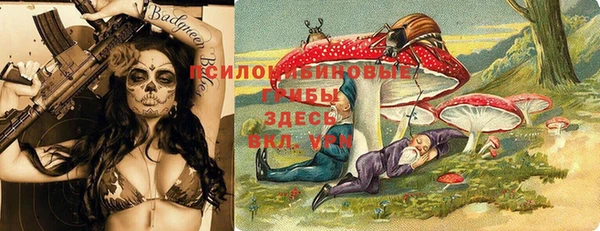 ГАЛЛЮЦИНОГЕННЫЕ ГРИБЫ Аркадак