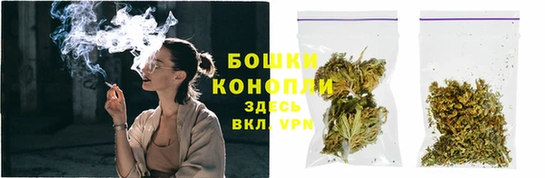 ГАЛЛЮЦИНОГЕННЫЕ ГРИБЫ Аркадак