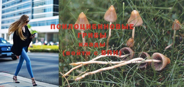 Альфа ПВП Балабаново