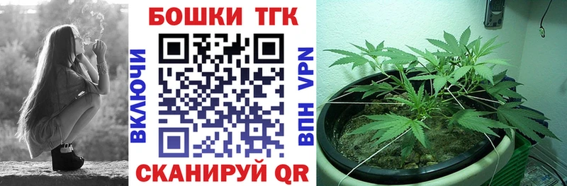 Канабис план  Ковылкино 